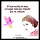 Tienes alas para volar