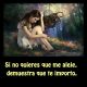 Si no quieres ...