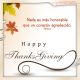 Feliz Thanksgiving...