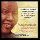 Frases de Mandela sobre el odio a personas diferentes
