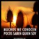 ¡Pocos me conocen!