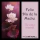 Feliz Día de la Madre, ¡te amo mamá!