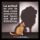 La actitud hace la diferencia