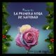 La primera rosa de Navidad