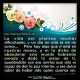 En la vida hay que amar y dar lo mejor