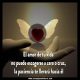 El amor de tu vida no llega por suerte