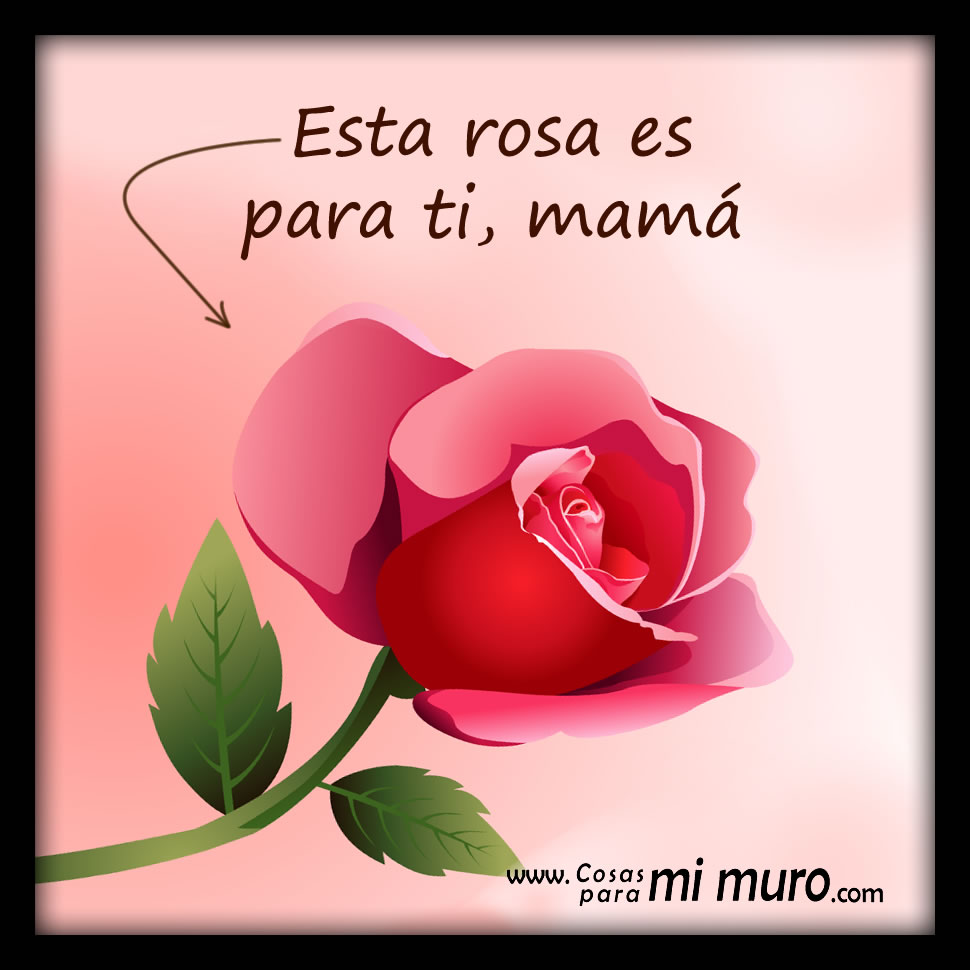 Esta rosa es para ti, mamá Cosas para mi muro