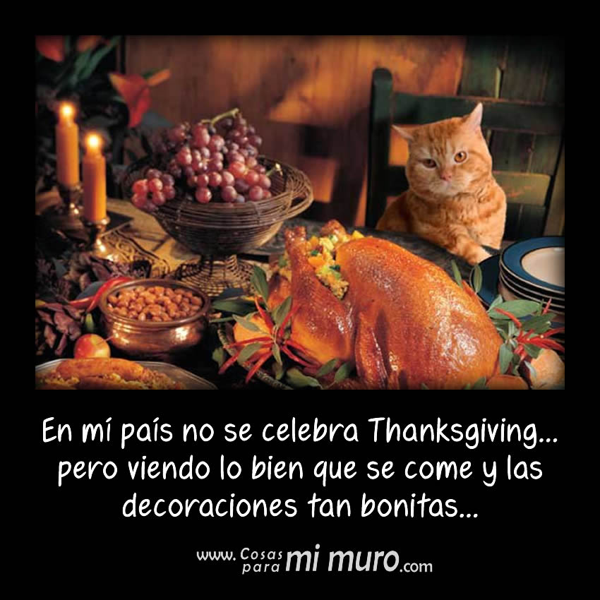 En mi país no se celebra Thanksgiving...