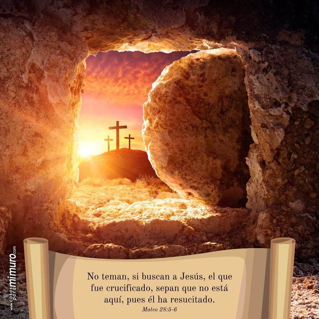 Mateo 28:5-6 Jesús, el crucificado, ha resucitado