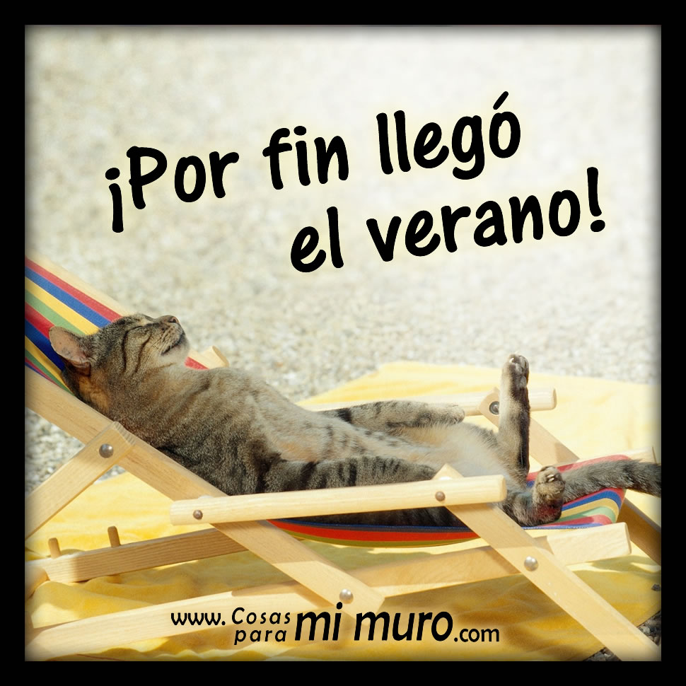 ¡Por fin llegó el verano! - Cosas para mi muro